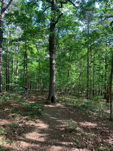 Pigeon Roost Trailhead