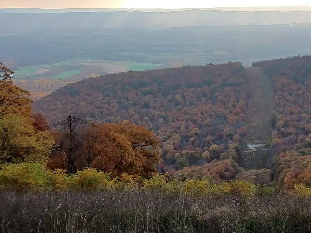 Brush Creek Township