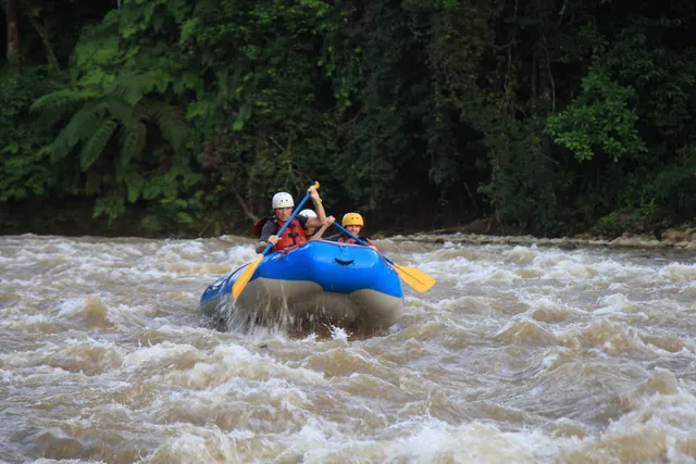 Serendipity Adventures