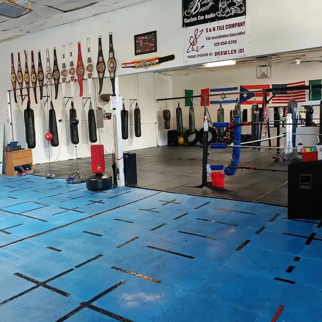 Brawler 101 Boxing/Fitness