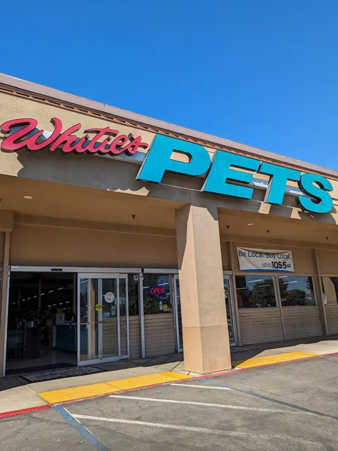 Whitie's Pets