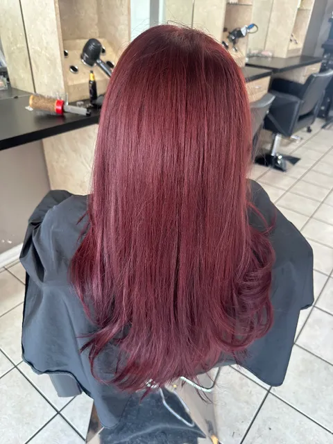 Evolucion Art & Creations