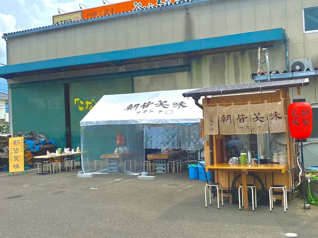 朝皆笑味（アカシア）