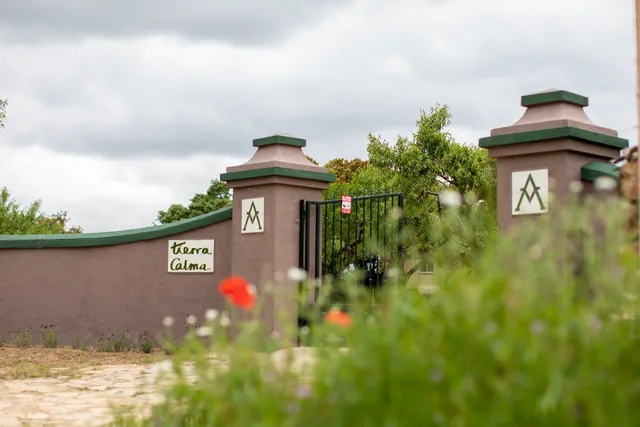 Viñedos Tierra Calma