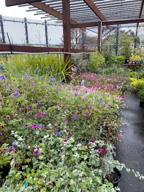 Heron's Head Nursery LLC