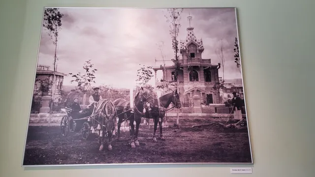 photo-1