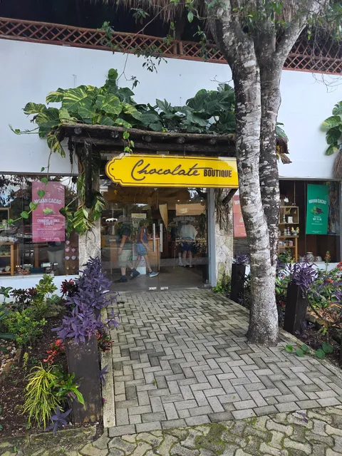 The Mayan Cacao Company