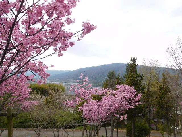 Katsurazaka Park