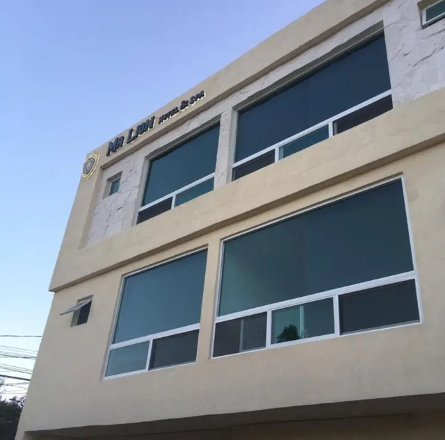 hotel mr lion and spa