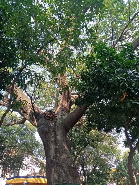 photo-2