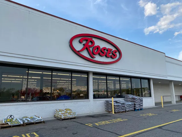 Roses Discount Store fashionistas