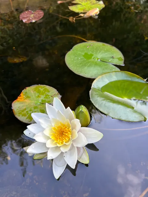 Raven Rock. Retreat and Wellness Centre