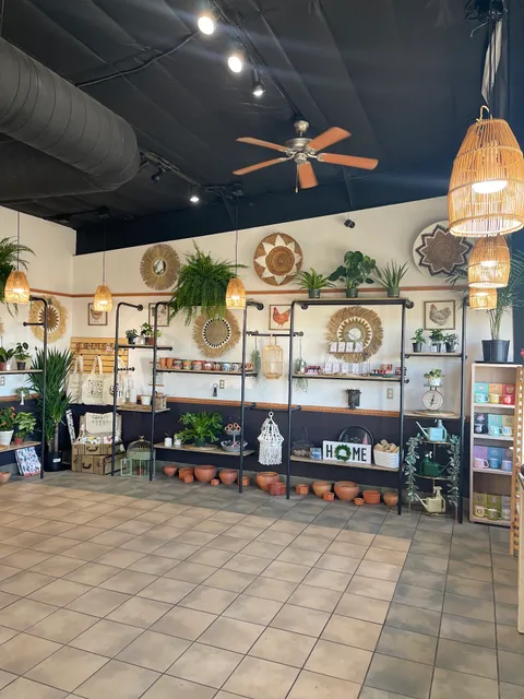 Soapweed Mercantile & Coffee Shop