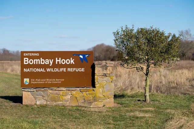 Bombay Hook National Wildlife Refuge