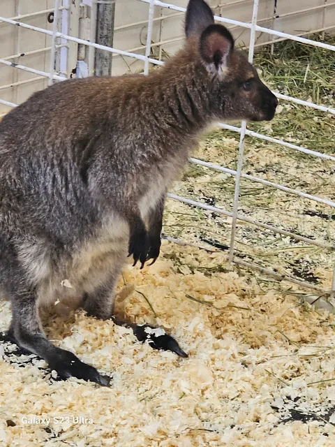 Palace of Agriculture