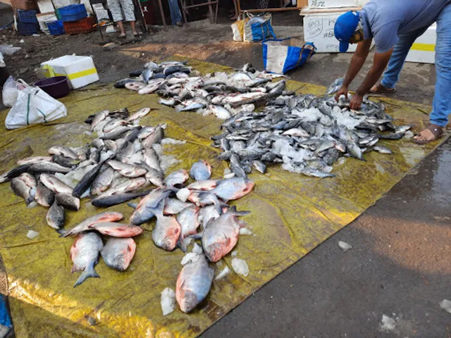 Wholesale Fish Market