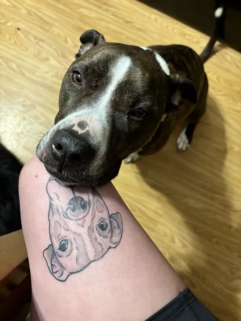 Reflection Room Tattoo Co.