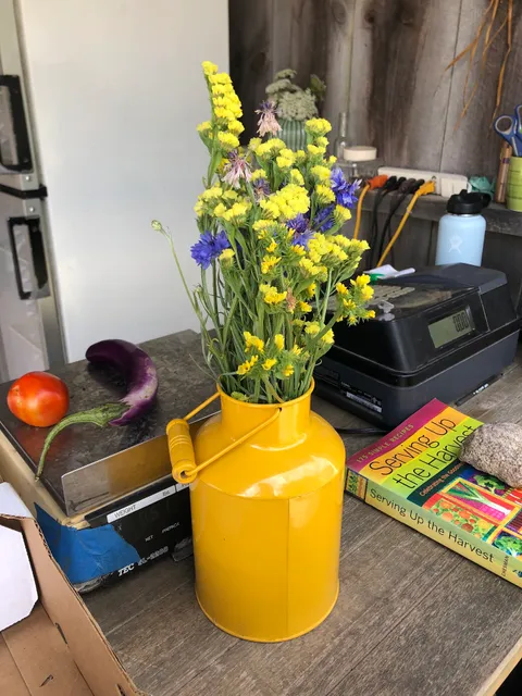 Cape Cod Organic Farm