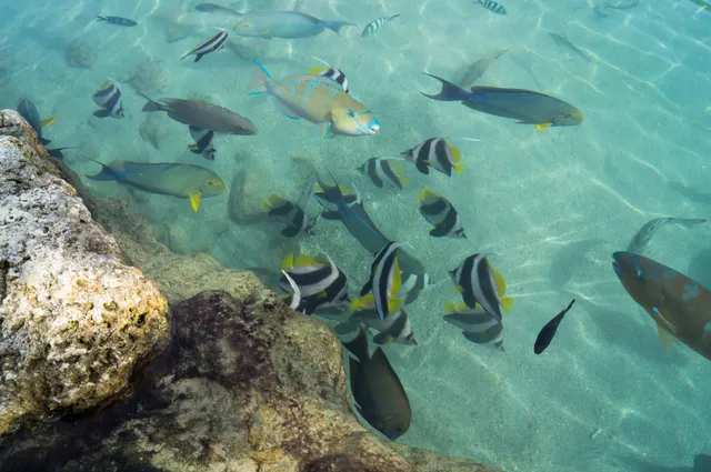 Motobu Genki Village