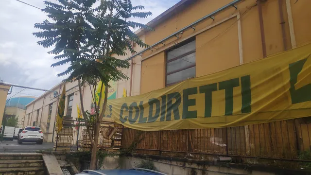 Mercato Di Campagna Amica