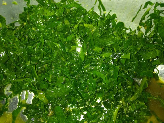 Bar e restaurante Pedrinho do treiler