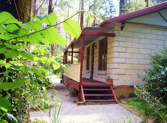 Fernglen Forest Retreat