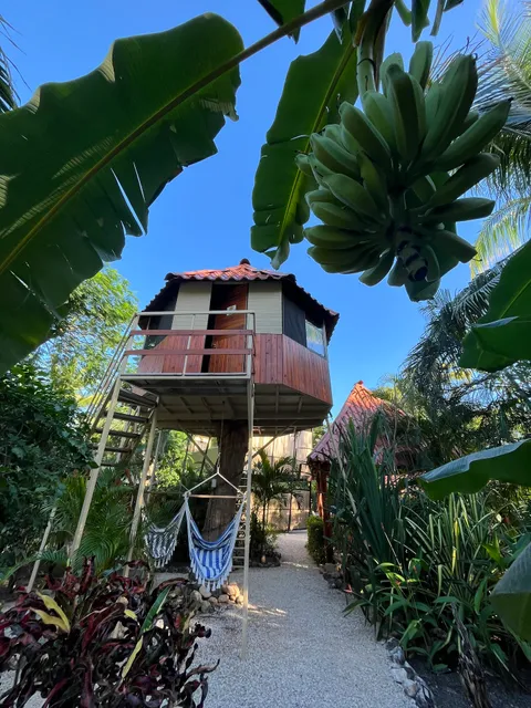 Casa Tropical Playa Grande