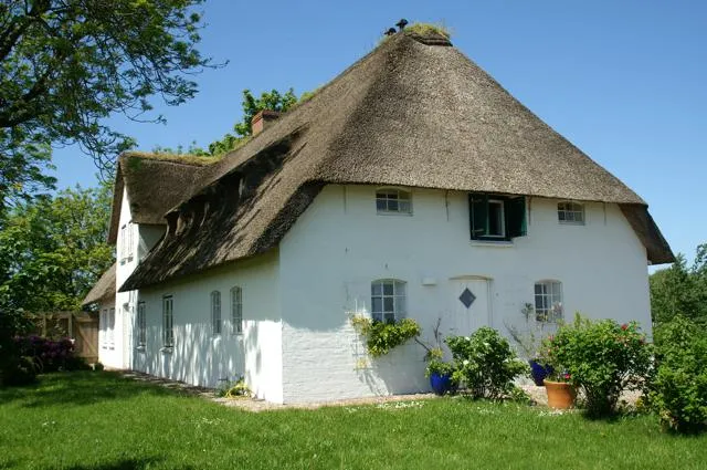 Reetdachhaus Poppenbüll