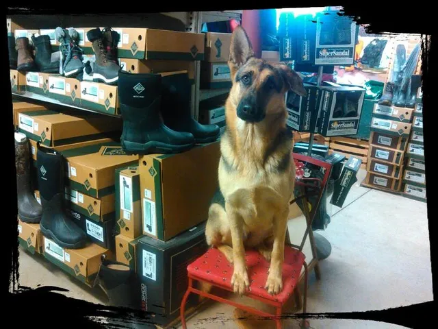 Mary’s Barn Market