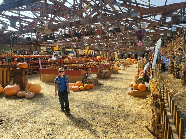 Daniel's Farm & Greenhouses