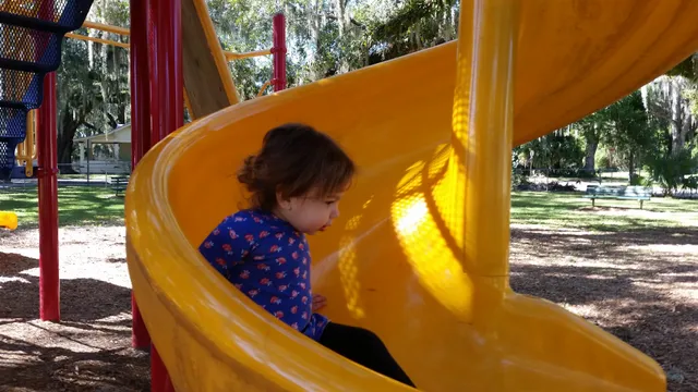 Florida Forest Festival