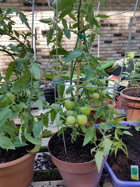 Plunkett's Farm Supply