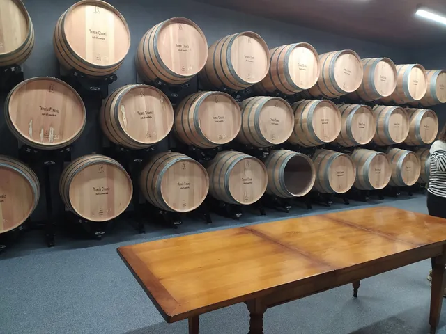 Txomin Etxaniz Txakolin Upategia