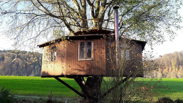 BAUMhaus / SCHÄFERwagen, I &Th. Palm