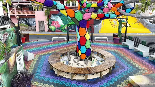 Yauco “el árbol tejido”