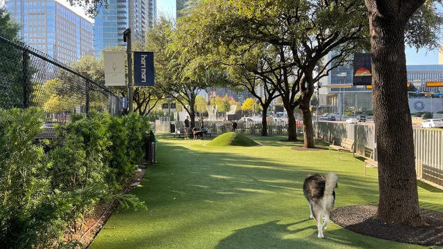 My Best Friend's Park