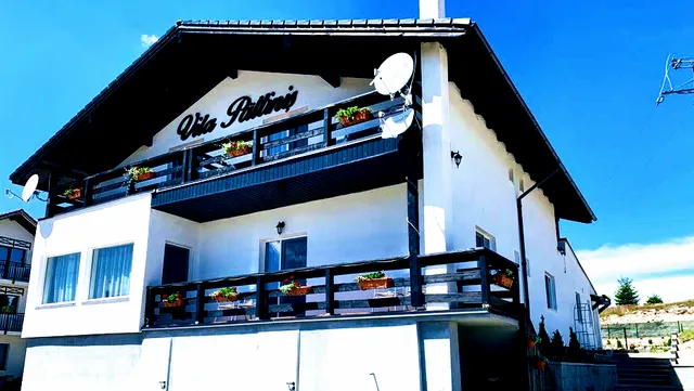 Vila Paltinis, Paltinis