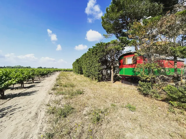 La Roulotte de Romie - Hébergements Insolites en Camargue