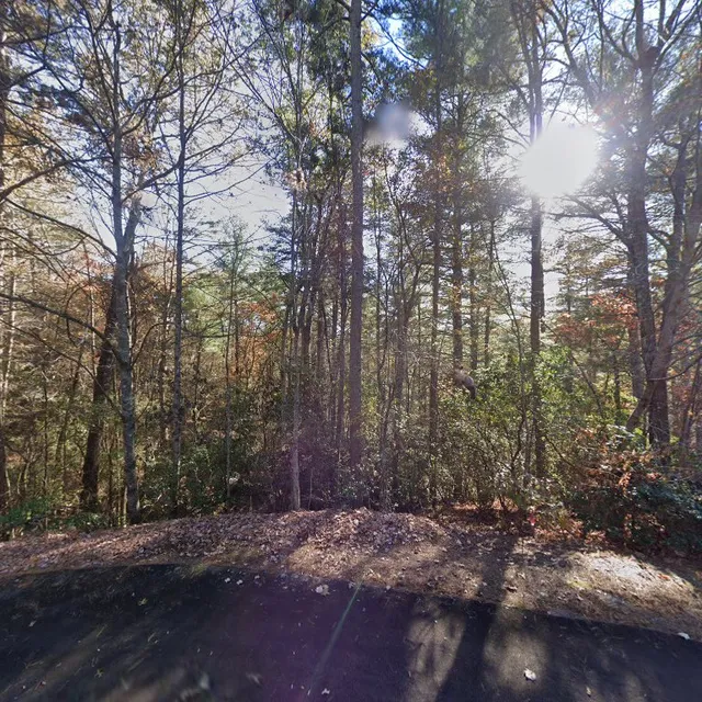 Moonlight Creek Cabin