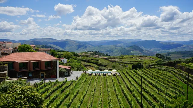 Casa do Santo Wine & Tourism