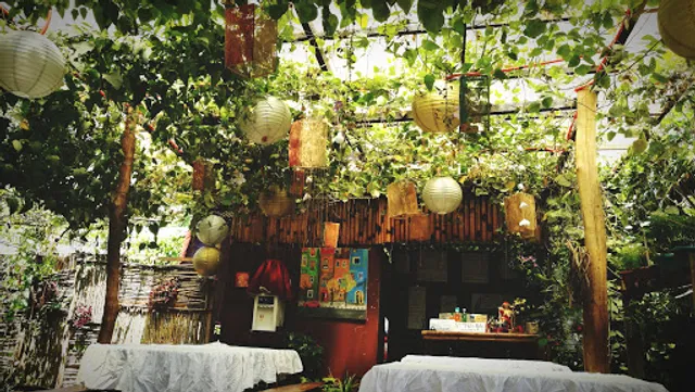 Backyard Edible Garden