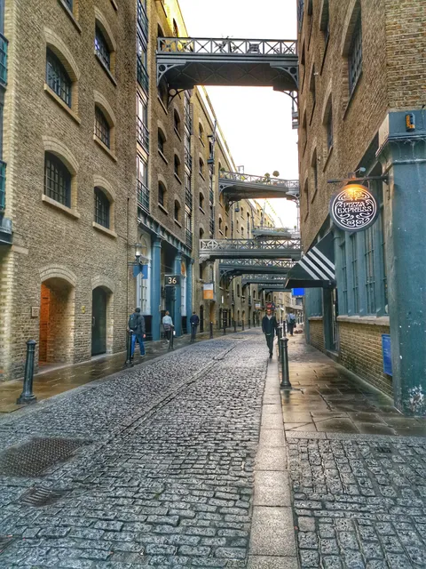 Maggie Blake's Cause