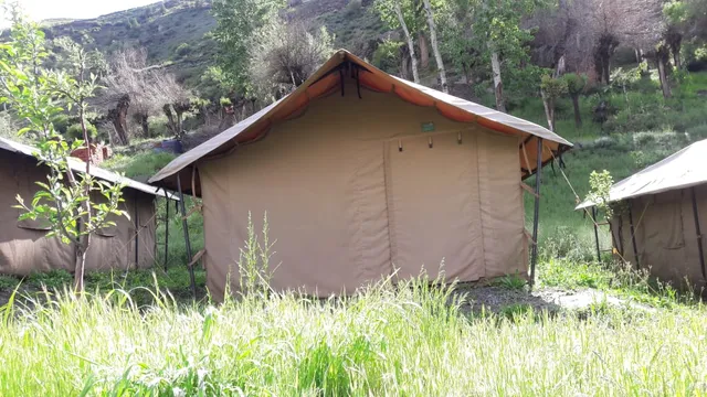 Chandra Bhaga Camps Tandi