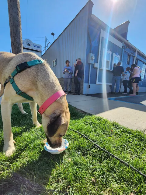 Main Street Parlor 49251