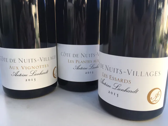 Domaine Lienhardt Antoine