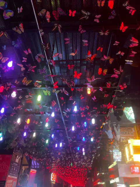 Shopping Park Pub Music Square