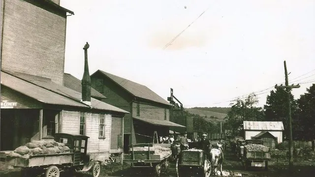 Elzy Milling & Trade LTD.