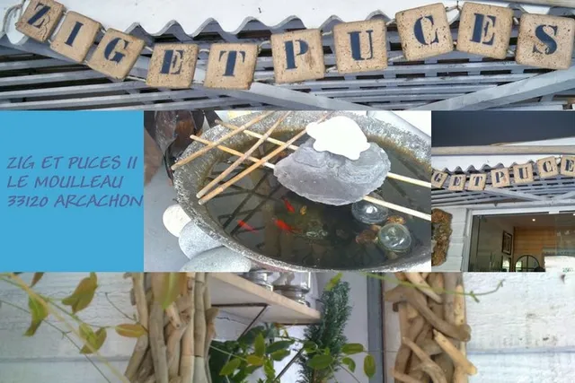 Zig et Puces II Le Moulleau