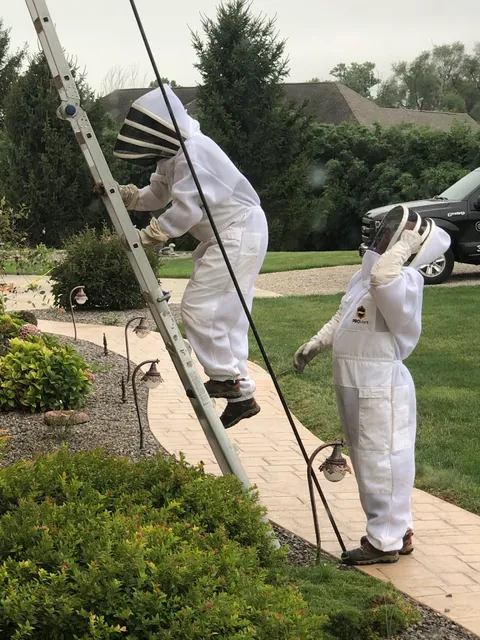 Irish Brothers Pest Control