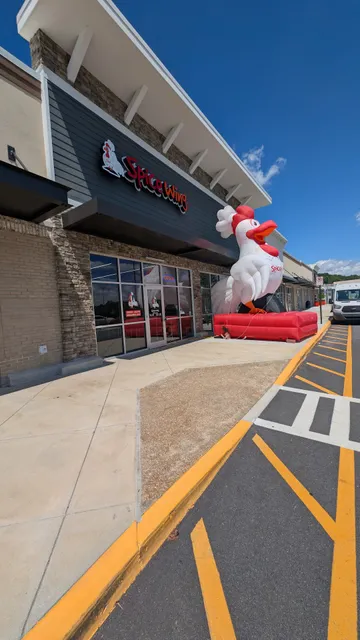 Spice Wing Dahlonega